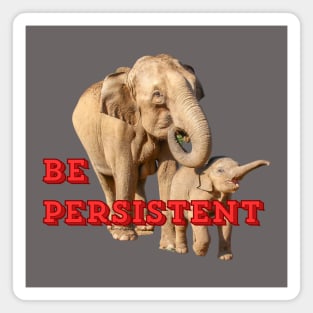 Be Persistent Magnet